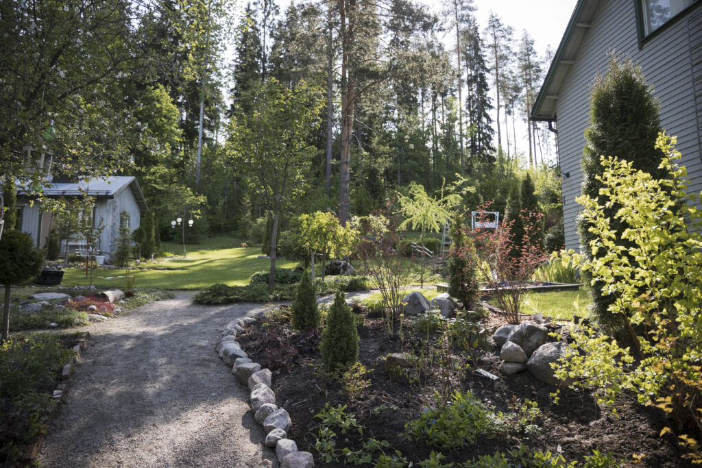 Istutusalue rintamamiestalon vieressä, puutarhassa vihertää ja isot mukulakivet erottavat kävelyurat istutusalueista.