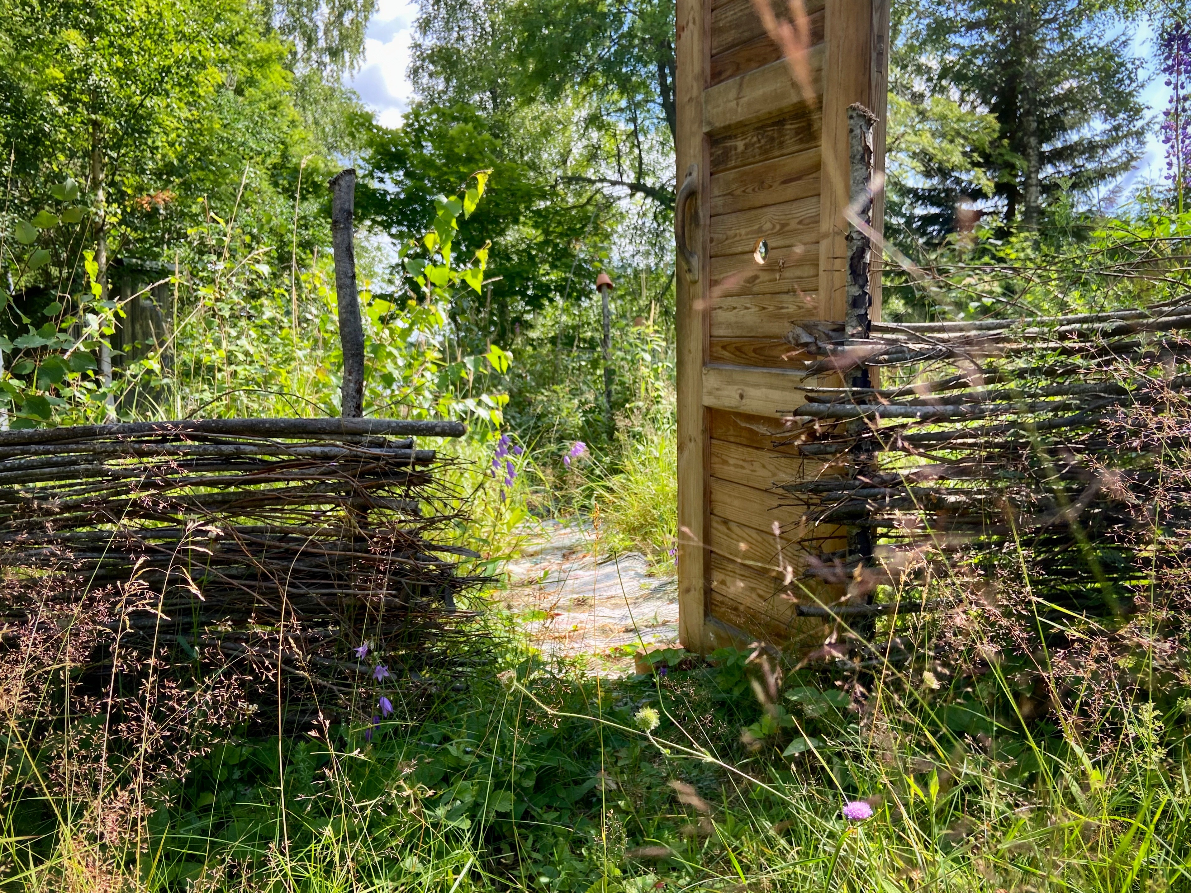 Keskellä risuaitaa näkyy vanha ovi, joka on avoinna. Taustalla näkyy räsymatto.