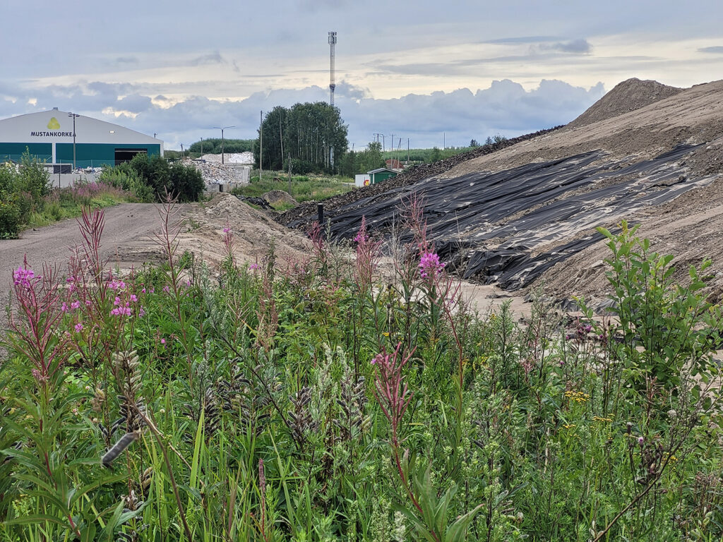 Työmaan pientareella kasvaa maitohorsmaa ja lupiinia.