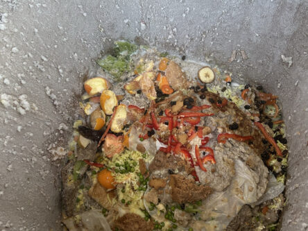 Jäteastian reunat ovat jäätyneet valkoiseksi kuuraksi. Astian pohjalla näkyy erinäköistä biojätettä jäätyneenä astian pohjalle.