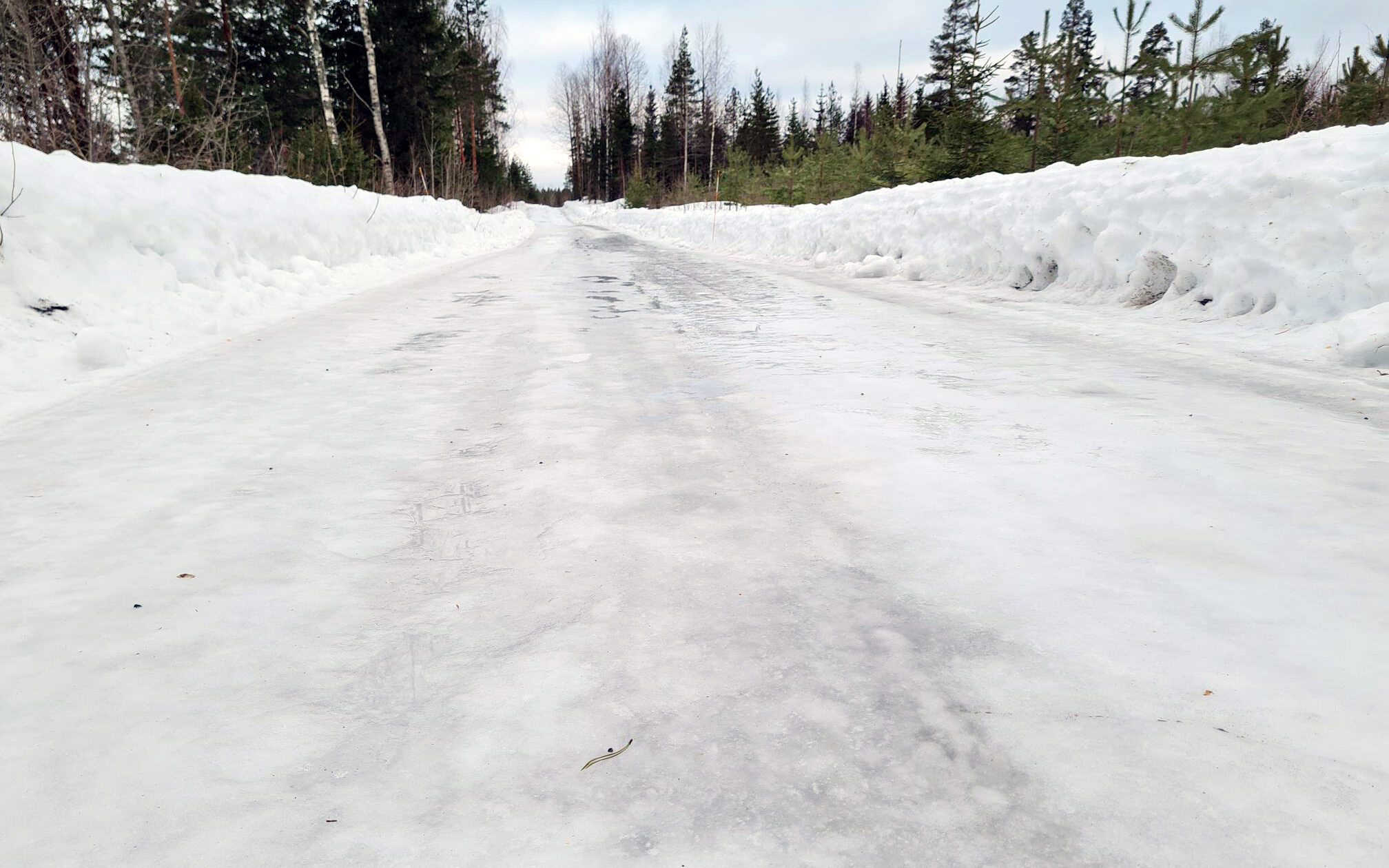 Kuvassa näkyy valkoinen ja aivan peilijäässä oleva tie. Taustalla näkyy metsää ja puita, taivas on hieman sininen.