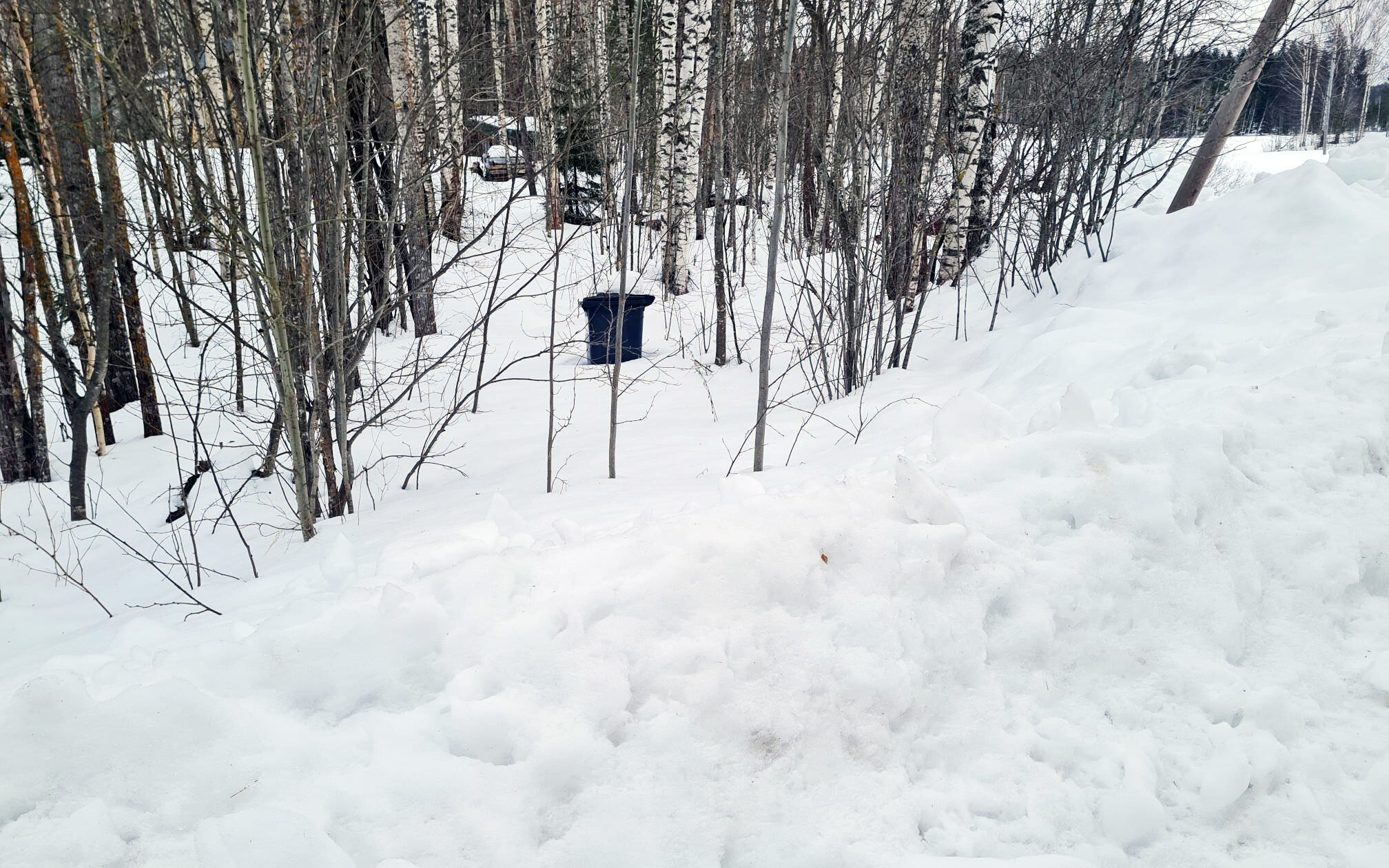 Jäteastia pilkottaa hieman keskellä oksaista metsänreunaa keskellä lunta. Edessä näkyy iso lumivalli.