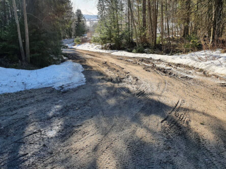 Tie on nuhjaantunut melko huonoon kuntoon. On kevät ja lumi sulaa tielle.