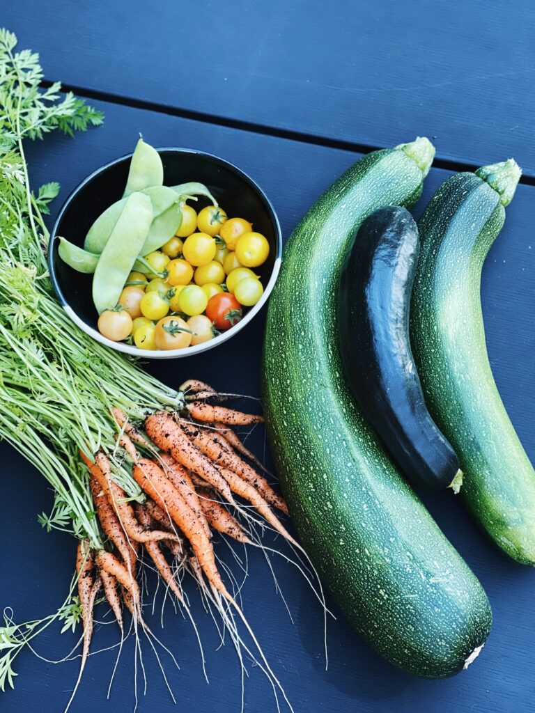 Kuvassa näkyy hieman multaisia porkkanoita sekä kesäkurpitsoja ja kupissa tomaatteja ja herneitä.