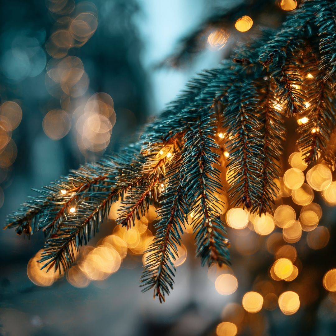 Etualalla näkyy kuusen oksaa ja takana kauniita valoja.