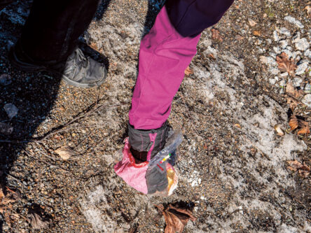 Kuvassa käsi ottaa maasta jotain, ehkä kakkaa? On kevät, sillä maassa on hieman lunta.