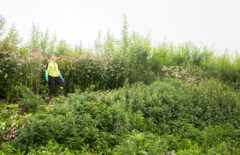 Kasviston keskellä seisoo huomiovaatteet päällä nainen, joka hymyilee.