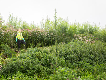 Kasviston keskellä seisoo huomiovaatteet päällä nainen, joka hymyilee.